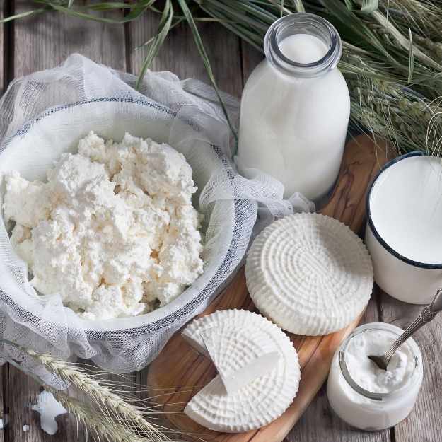 Best Quality Dairy Products by sayaji foods